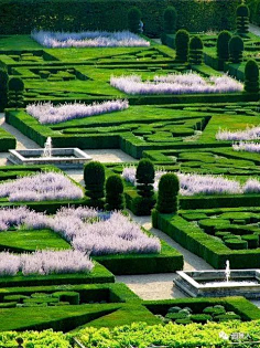 com【景观绿篱植物设计图集下载】绿墙模纹花坛/法式园林花园/植物