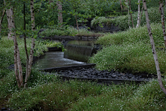 帕克小王子采集到地形处理