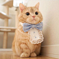 land-like-a-cat: “Formal kitty  {Courtesy of @pooh0403} #meowbox #pretty #prettylittleliars ”: