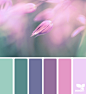 Design Seeds® | find your palette