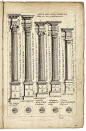 【绘画参考】希腊古典风格石柱参考~想要画古典风格的建筑可以参考一下这组石柱，有很多纹路细节值得学习喔~