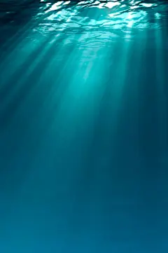 治愈系图片 - 治愈系：猫头鹰佐拉（第三期） - QQ邮箱