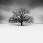 Snowscapes | Vassilis Tangoulis