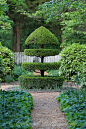Beautiful Garden Topiary: 