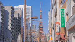 旸乌乌采集到【参考】日本