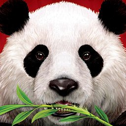 Wild Panda casino sl...