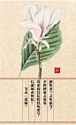 屈原 · 笔下的香草花木。