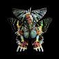 自然界中的生物发育出的肢体、颜色、纹理具有模拟周围环境的能力，法国摄影师Seb Janiak的作品《Mimesis》（拟态）利用昆虫的翅膀作为花瓣，拼出一幅幅绽放的鲜花。