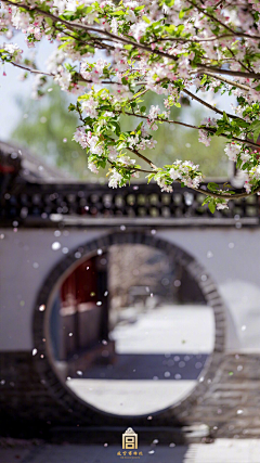 ♥锋雨同露♀采集到说走就走的旅行