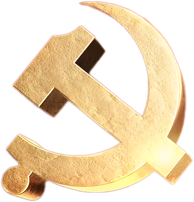 立体党徽