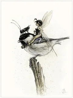 青蛙学士、兔子骑士、精灵与精灵鸟......来自插画师 Jean Baptiste 的奇幻画作