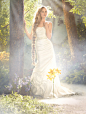 Alfred Angelo Bridal Style 214 from Disney Fairy Tale Bridal