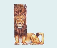 Animals in Alphabet国外动物字母插画设计欣赏