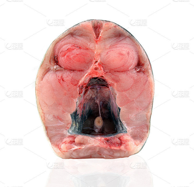 肉鱼