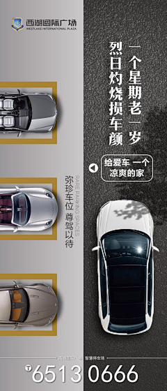 南瓜车蓬采集到地产车位