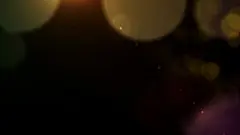 唯美光斑视频素材3