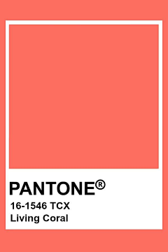 残酷、的现实采集到潘通(PANTONE)