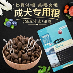 奈何桥上吃瓜子采集到宠物类