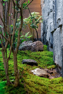 鬼画桃采集到庭院