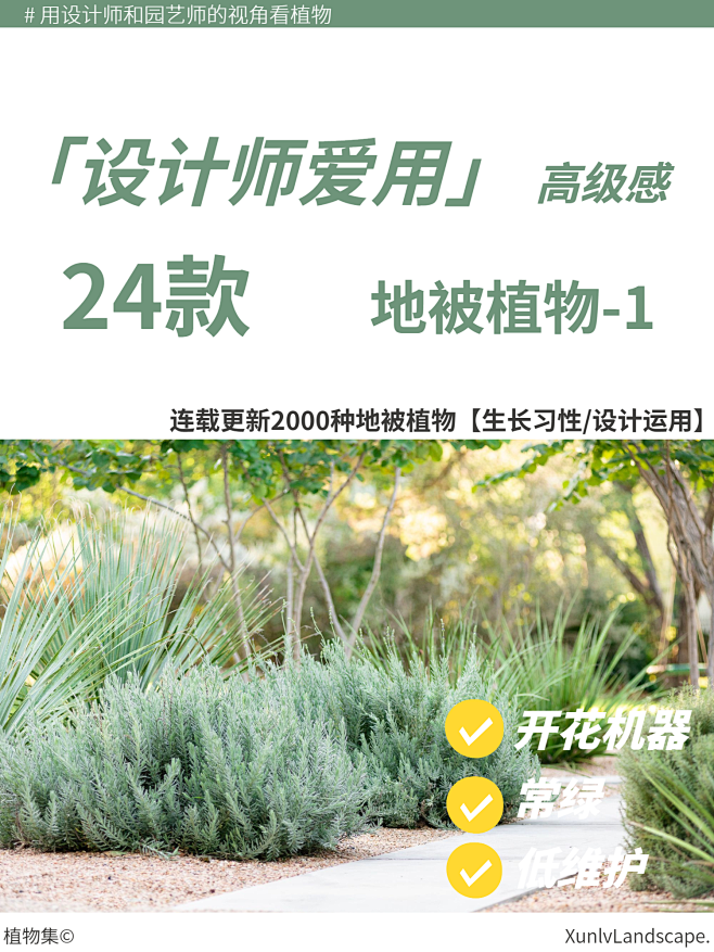 本期更新： #迷迭香#埃弗里斯特苔草#角...