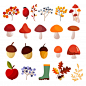 Autumn elements collection Premium Vector