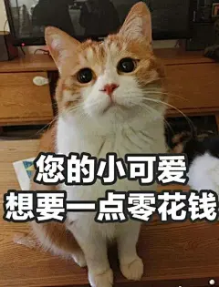 为什么很多知乎用户喜欢使用猫咪的表情包？ - 知乎