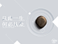 锐意视觉 [http://2807725077.qzone.qq.com]