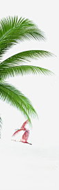 绿色热带椰子叶png免抠素材_新图网 https://ixintu.com 绿色 热带 椰子叶 树叶