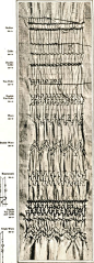 Tutorial on different types of smocking and how to do them