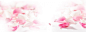 粉色 粉色背景 唯美 粉嫩 花瓣 电商banner banner 化妆品背景 背景 背景图 淘宝背景 妇女节 妇女节背景 三八 38 女王节 