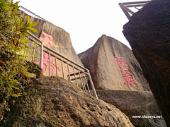 沙鱼家族采集到旅游