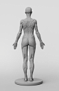 3dtotal Anatomy: female full ecorche figure : Sculpt and draw with confidence with the help of 3dtotal's female écorché reference figure...