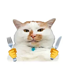 我宣布 没有比这更万能的表情包了！ - 小红书