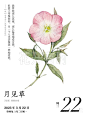 来自相册