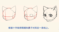 风雾采集到动物
