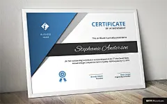 三角形 元素 证书 corporate Business certificate 证书卡片名片平面设计