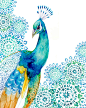 Peacock Art / PRINT / Turquoise and blue by BellaAndBunny on Etsy