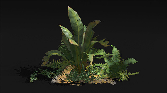 Foliage study, Vital...