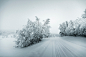 Beginning Of Winter projects | Behance 上的照片、视频、徽标、插图和品牌