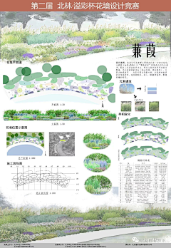 Ginkgo-biloba采集到植物景观设计
