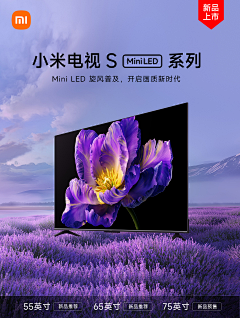 Yang998采集到电视素材