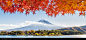Autumn Fuji - stock photo