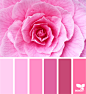 Design Seeds : Design Seeds color palettes ... posted daily for all who love color.