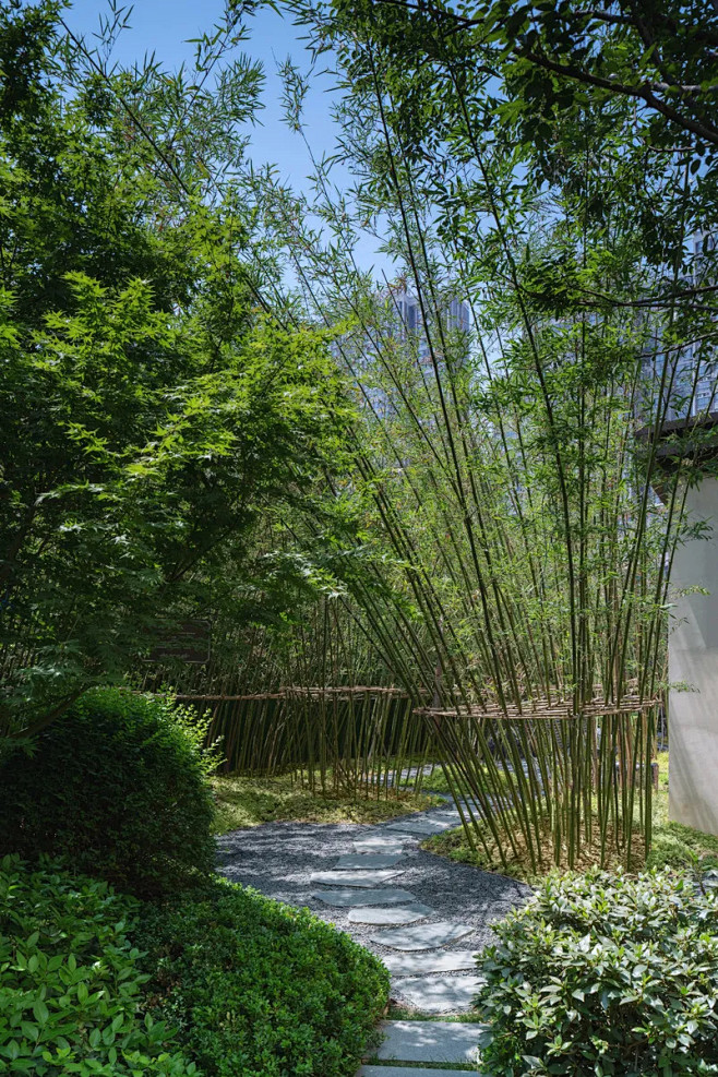 方寸之间，山川之境——建业中弘城