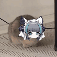 面对猫猫吧采集到猫猫表情包