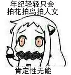 北方栖姬北方栖姬表情包 动漫表情 表情包 聊天表情 逗比 傻逼 (´･ω･｀)