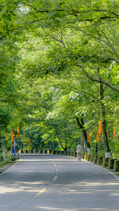 LuckQueen采集到场景素材