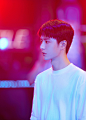 YIBO-OFFICIAL的照片 - 微相册