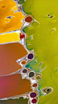 这样的“调色盘”你见过吗？运城盐湖堪称一大自然奇观！©图虫创意