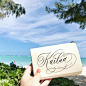The jade green waters and flour-like sand can’t be beat... here at Kailua beach  #calligrascape